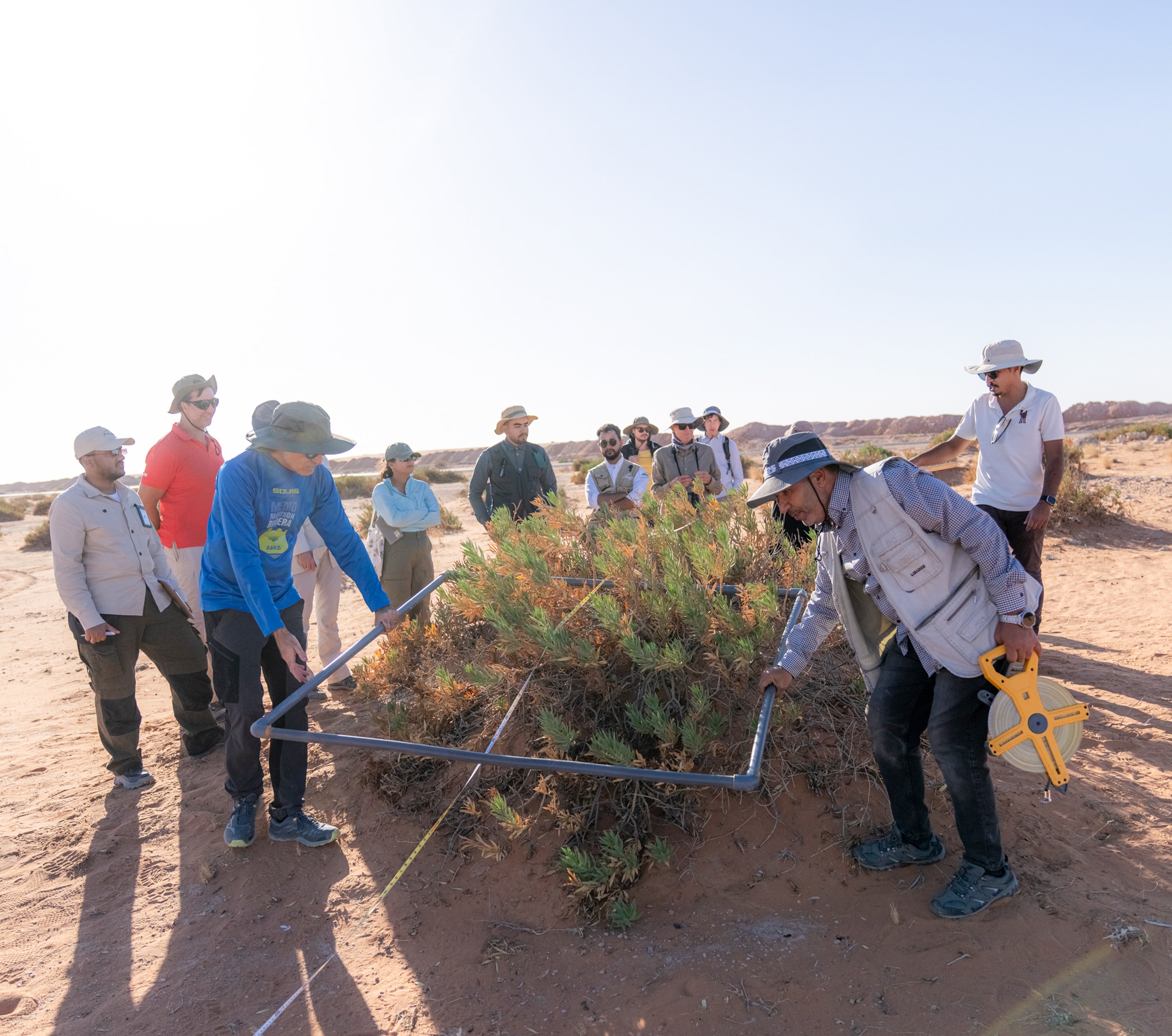 Assessing livestock grazing impacts and carrying capacity in Saudi Arabia